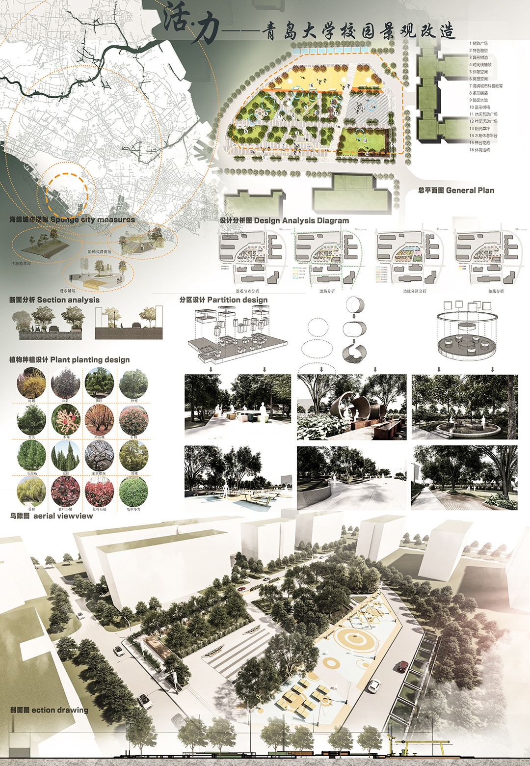 青岛大学 | 景观设计 | 《活力·青岛大学景观改造设计》创作者：徐远久 指导老师：卢晶